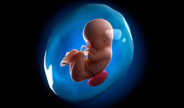 Amniyon sıvısının fetüse rahat hareket ortamı sağlaması