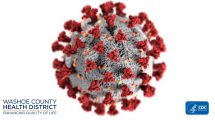 Dünyaya Bela Olan Coronavirüsün Çeşitleri