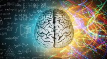 İnsan beyni, merkezi sinir sistemi
